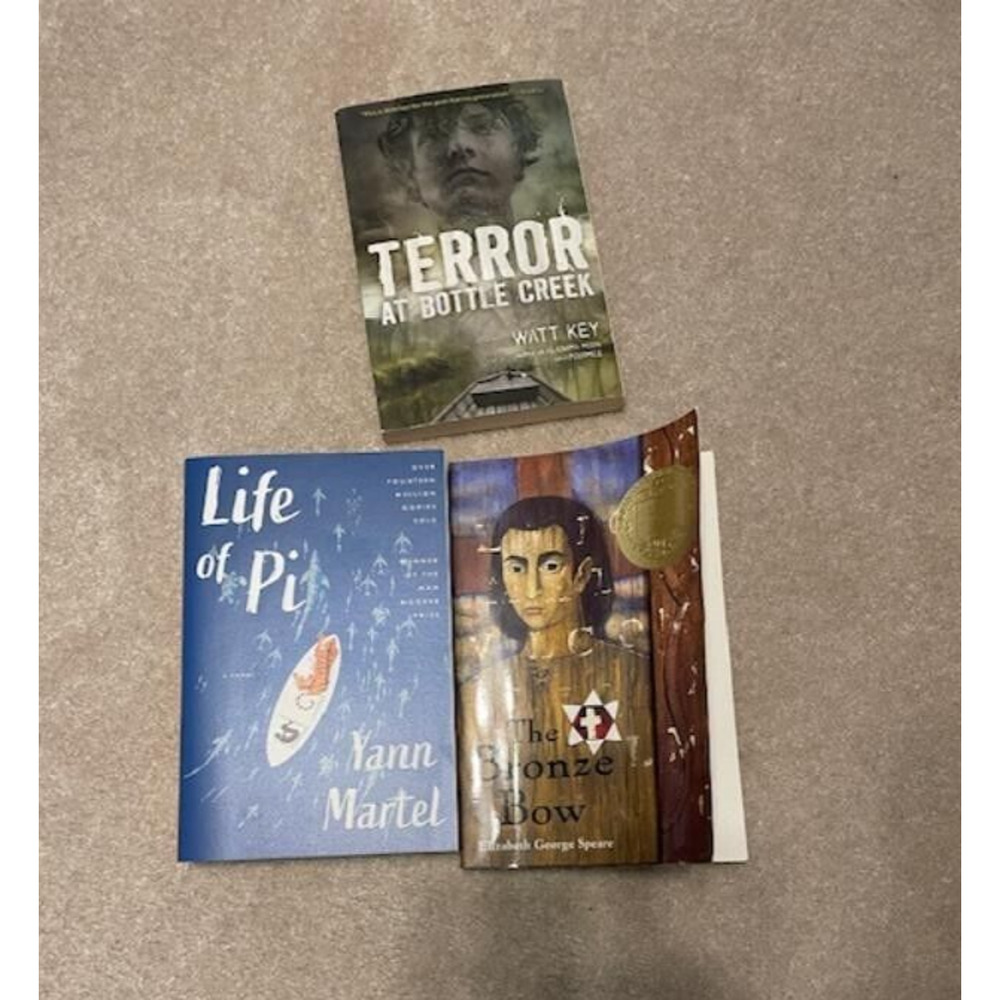 3 Teenage Books Terror at Bottle Creek,Life of Pi,The Bronze Arrow